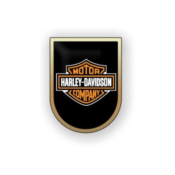 Pins Harley-Davidson